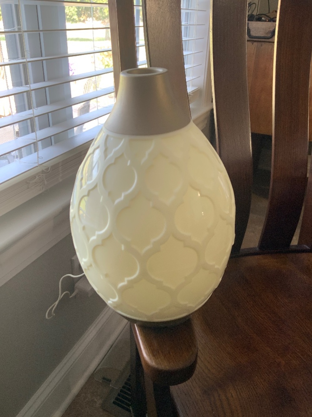 Young Living Desert Mist Essential Oil Ultrasonic Diffuser